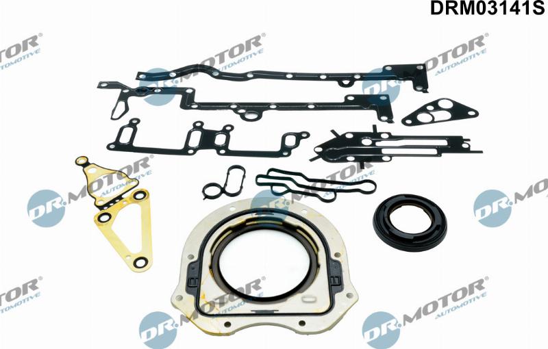 Dr.Motor Automotive DRM03141S - Set garnituri, carter aaoparts.ro