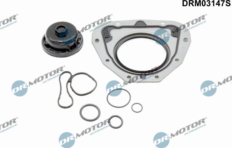 Dr.Motor Automotive DRM03147S - Set garnituri, carter aaoparts.ro