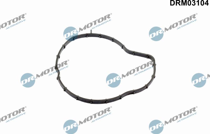 Dr.Motor Automotive DRM03104 - Garnitura, pompa de apa aaoparts.ro