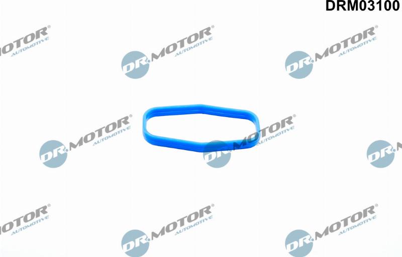 Dr.Motor Automotive DRM03100 - Etansare, pompa ulei aaoparts.ro