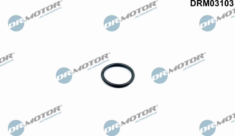 Dr.Motor Automotive DRM03103 - Garnitura, carcasa termostat aaoparts.ro