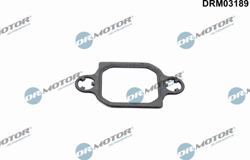 Dr.Motor Automotive DRM03189 - Garnitura, ventil AGR aaoparts.ro