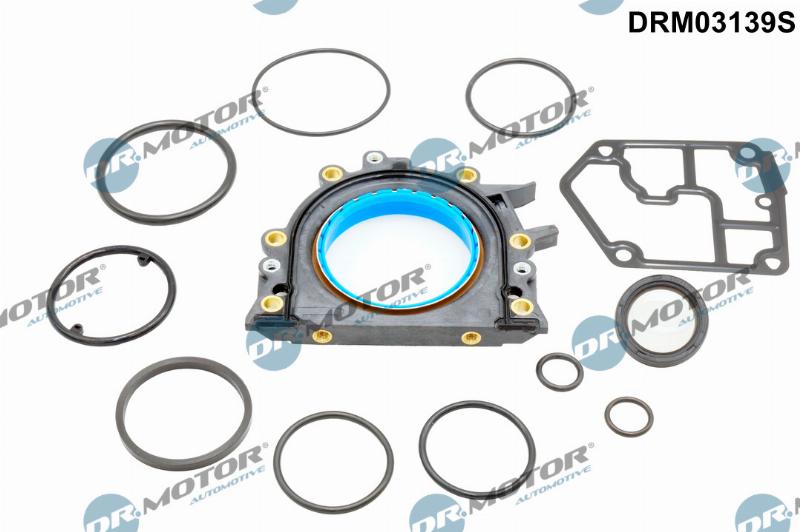 Dr.Motor Automotive DRM03139S - Set garnituri, carter aaoparts.ro