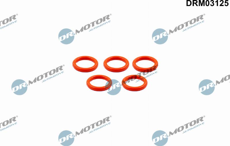 Dr.Motor Automotive DRM03125 - Inel de etansare aaoparts.ro