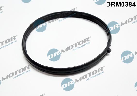 Dr.Motor Automotive DRM0384 - Garnitura, galerie admisie aaoparts.ro