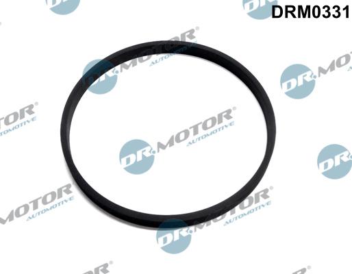 Dr.Motor Automotive DRM0331 - Etanșare, carcasă clapetă aaoparts.ro