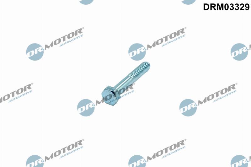 Dr.Motor Automotive DRM03329 - Surub, suport injector aaoparts.ro