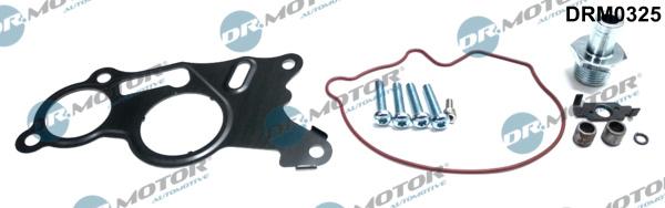 Dr.Motor Automotive DRM0325 - Set reparatie, pompa vacuum (Siste frana) aaoparts.ro