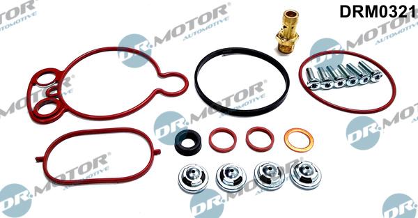 Dr.Motor Automotive DRM0321 - Set reparatie, pompa vacuum (Siste frana) aaoparts.ro