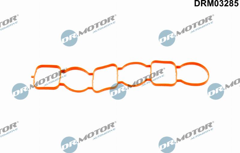 Dr.Motor Automotive DRM03285 - Garnitura, galerie admisie aaoparts.ro