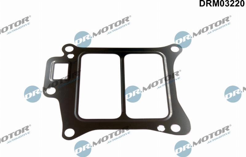 Dr.Motor Automotive DRM03220 - Garnitura, ventil AGR aaoparts.ro