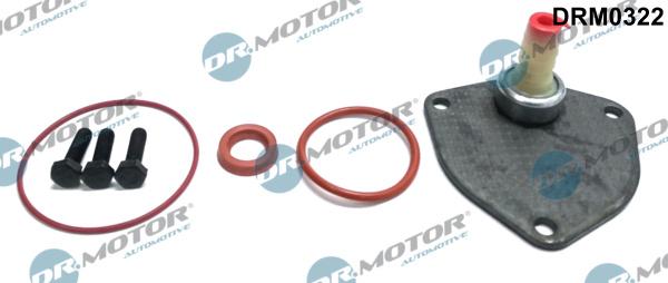 Dr.Motor Automotive DRM0322 - Set reparatie, pompa vacuum (Siste frana) aaoparts.ro