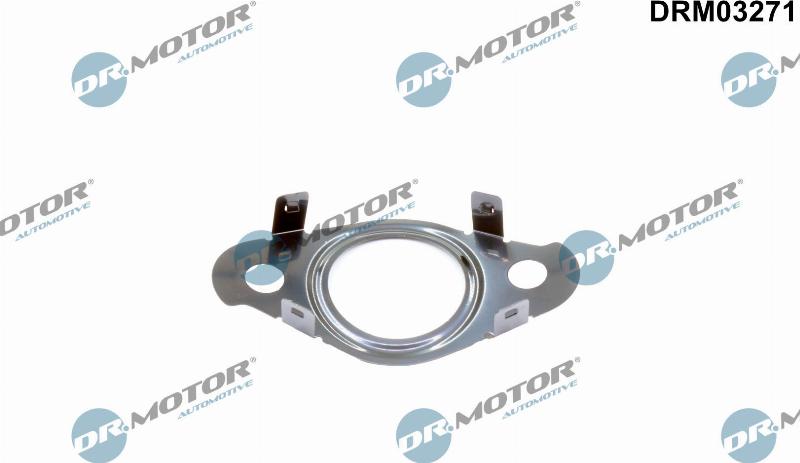 Dr.Motor Automotive DRM03271 - Garnitura, conducta supapa-AGR aaoparts.ro