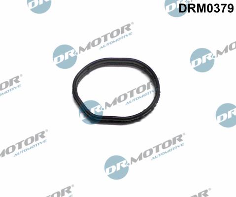 Dr.Motor Automotive DRM0379 - Garnitura, distributie aaoparts.ro