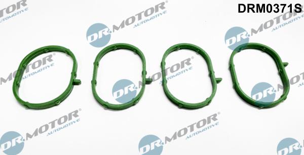 Dr.Motor Automotive DRM0371S - Set garnituri, galerie admisie aaoparts.ro