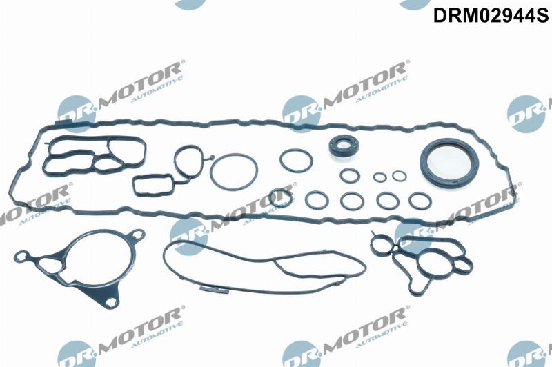 Dr.Motor Automotive DRM02944S - Set garnituri, carter aaoparts.ro