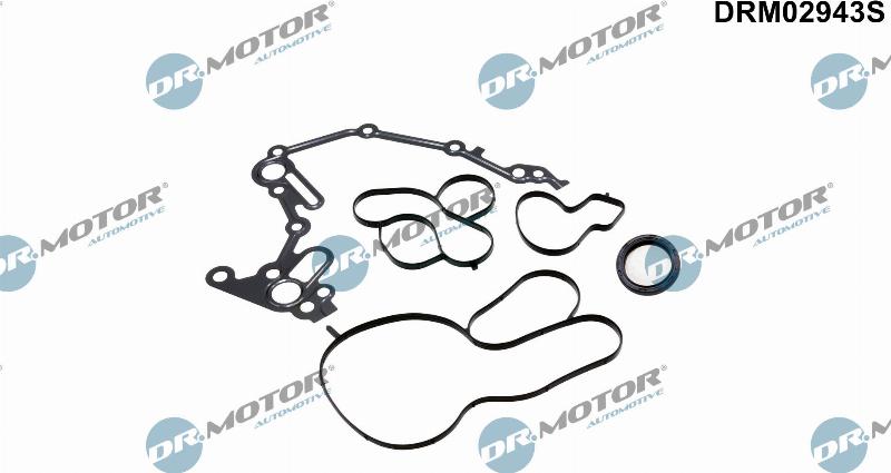 Dr.Motor Automotive DRM02943S - Set garnituri, carter aaoparts.ro