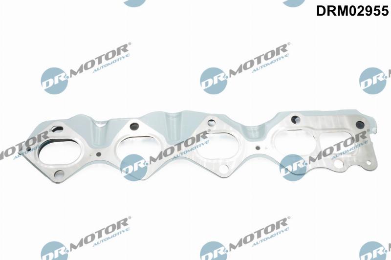 Dr.Motor Automotive DRM02955 - Garnitura, galerie evacuare aaoparts.ro