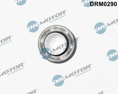 Dr.Motor Automotive DRM0290 - Simering, ax cu came aaoparts.ro