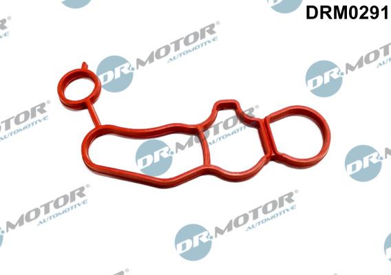 Dr.Motor Automotive DRM0291 - Garnituri, carcasa filtru ulei aaoparts.ro