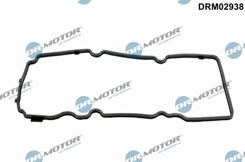 Dr.Motor Automotive DRM02938 - Garnitura, capac supape aaoparts.ro
