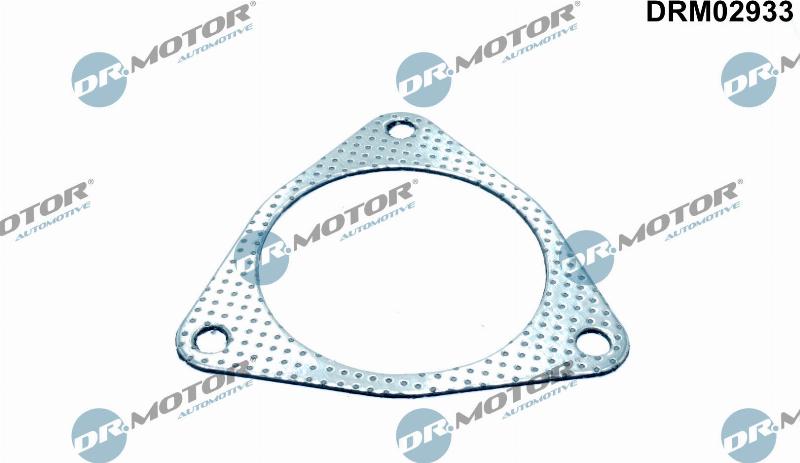 Dr.Motor Automotive DRM02933 - Garnitura, racord evacuare aaoparts.ro