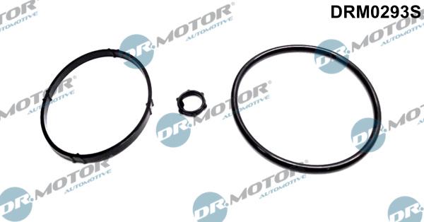 Dr.Motor Automotive DRM0293S - Set garnituri, radiator ulei aaoparts.ro