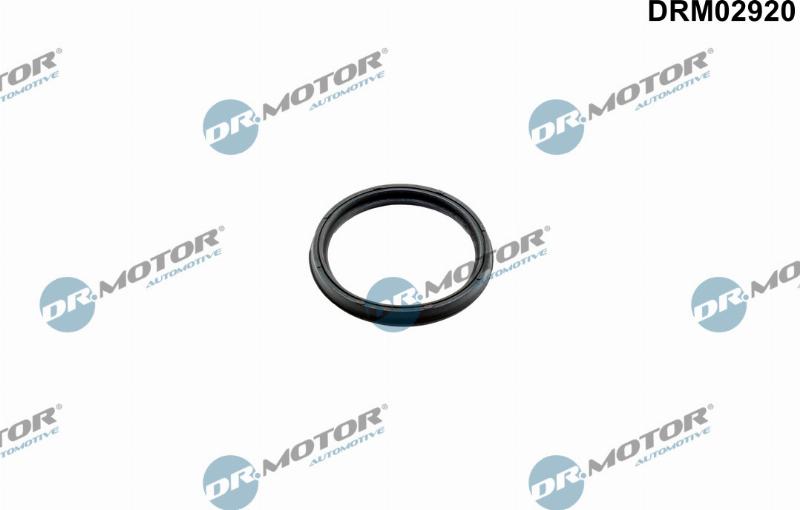 Dr.Motor Automotive DRM02920 - Inel etansare, compresor aaoparts.ro