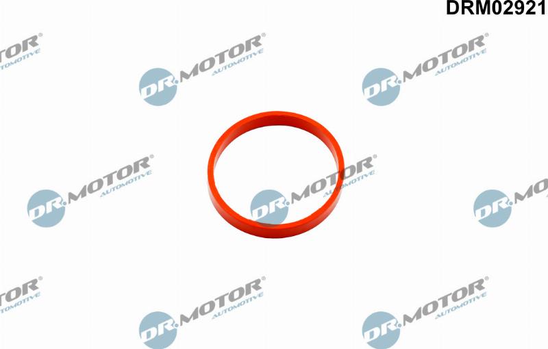 Dr.Motor Automotive DRM02921 - Inel etansare, compresor aaoparts.ro