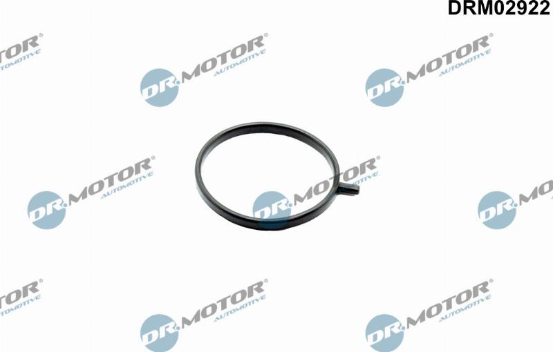 Dr.Motor Automotive DRM02922 - Inel etansare, compresor aaoparts.ro