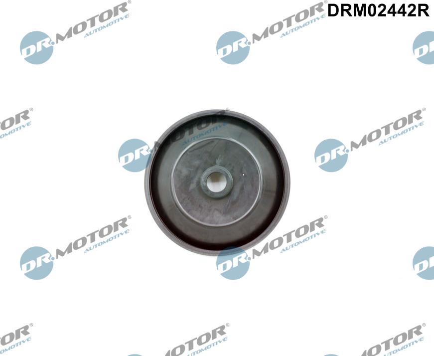 Dr.Motor Automotive DRM02442R - Supapa control,admisie aer aaoparts.ro