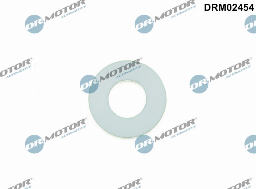 Dr.Motor Automotive DRM02454 - Garnitura, racord admisie combustibil aaoparts.ro