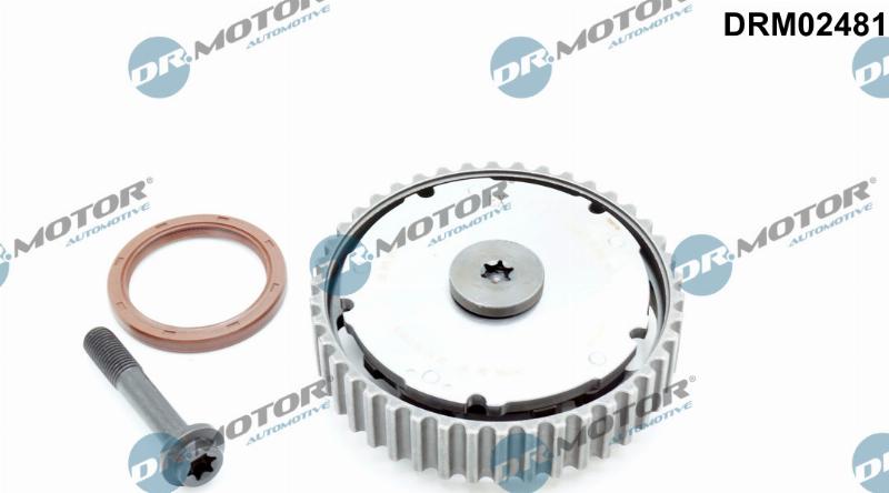 Dr.Motor Automotive DRM02481 - Regulator ax cu came aaoparts.ro