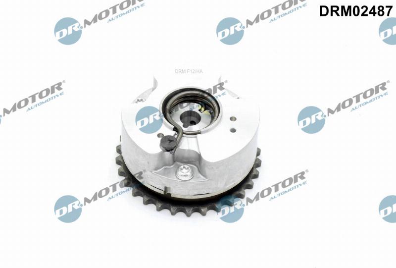 Dr.Motor Automotive DRM02487 - Regulator ax cu came aaoparts.ro