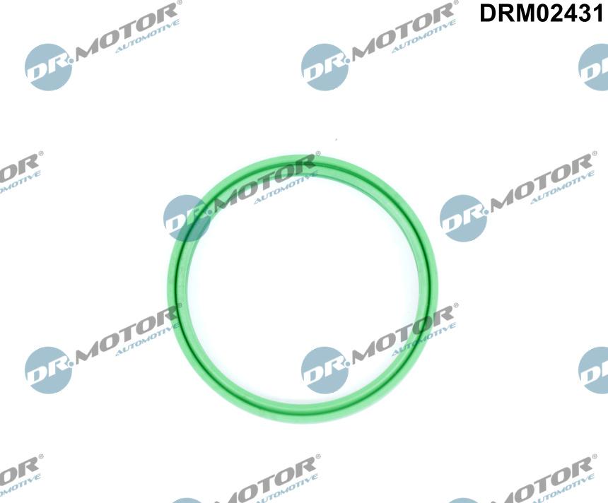 Dr.Motor Automotive DRM02431 - Inel etansare, furtun aer supraalimentare aaoparts.ro