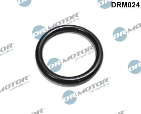 Dr.Motor Automotive DRM024 - Garnitura, flansa lichid racire aaoparts.ro