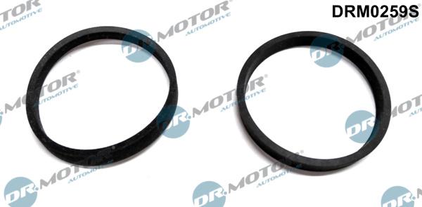 Dr.Motor Automotive DRM0259S - Set garnituri, galerie admisie aaoparts.ro