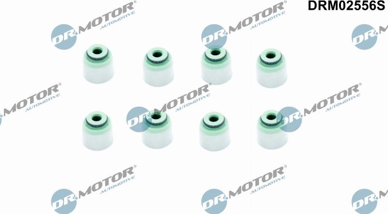 Dr.Motor Automotive DRM02556S - Set garnituri, ax supape aaoparts.ro