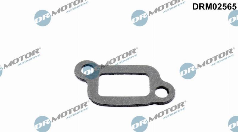 Dr.Motor Automotive DRM02565 - Garnitura, carcasa termostat aaoparts.ro