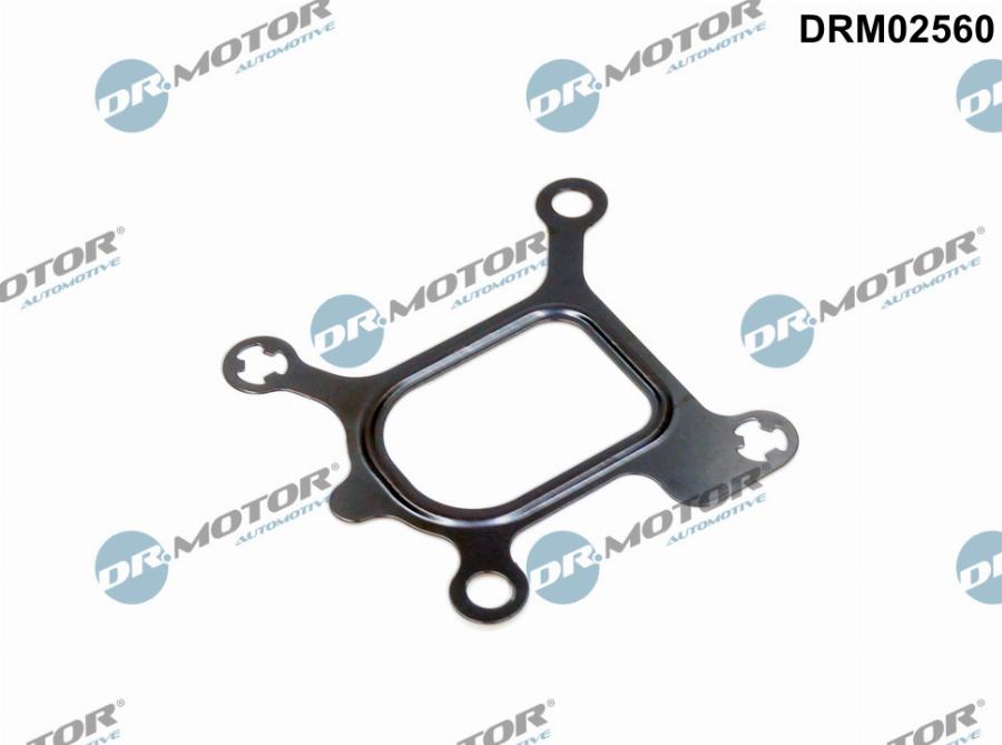 Dr.Motor Automotive DRM02560 - Garnitura, flansa lichid racire aaoparts.ro