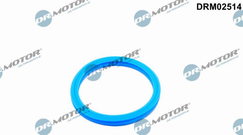 Dr.Motor Automotive DRM02514 - Garnitura,conducta lichid de racire aaoparts.ro