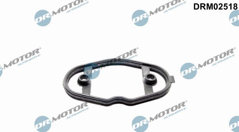 Dr.Motor Automotive DRM02518 - Garnitura, pompa combustibil aaoparts.ro