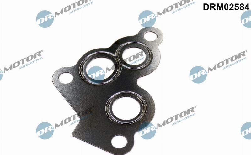 Dr.Motor Automotive DRM02584 - Garnituri, carcasa filtru ulei aaoparts.ro