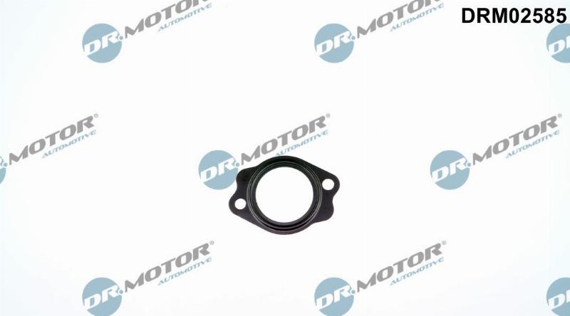 Dr.Motor Automotive DRM02585 - Garnitura,conducta lichid de racire aaoparts.ro
