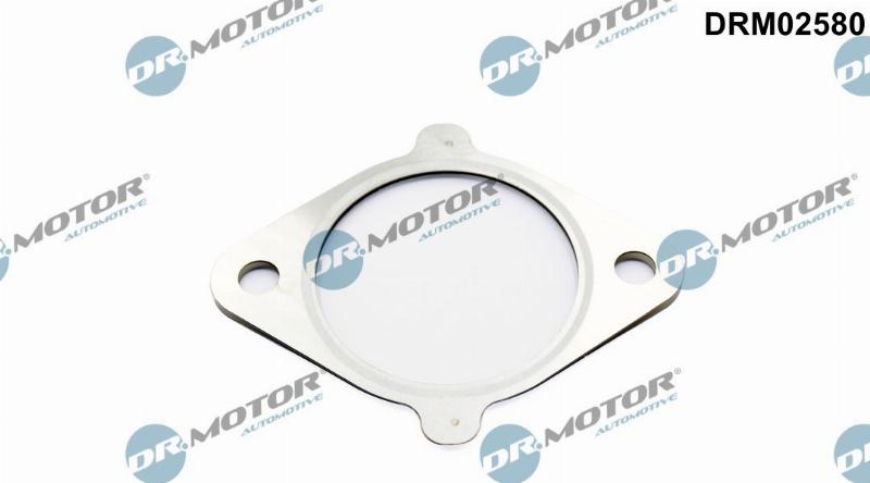 Dr.Motor Automotive DRM02580 - Garnitura, ventil AGR aaoparts.ro