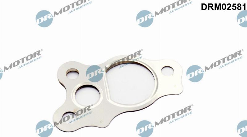 Dr.Motor Automotive DRM02581 - Garnitura, ventil AGR aaoparts.ro