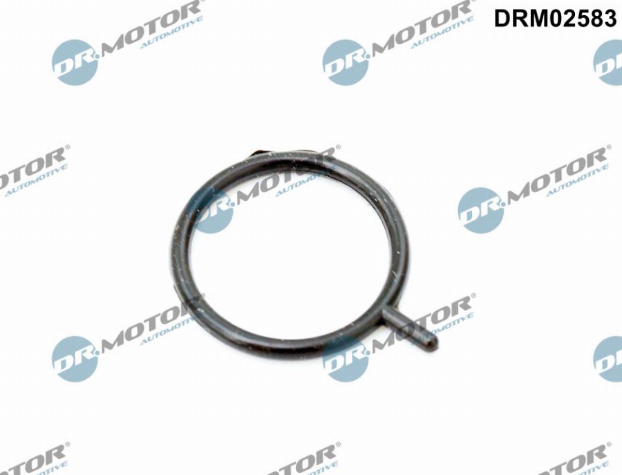 Dr.Motor Automotive DRM02583 - Inel etansare, senzor nivel ulei motor aaoparts.ro