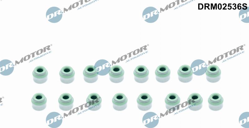 Dr.Motor Automotive DRM02536S - Set garnituri, ax supape aaoparts.ro