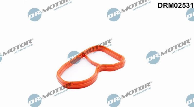 Dr.Motor Automotive DRM02531 - Garnitura, galerie admisie aaoparts.ro