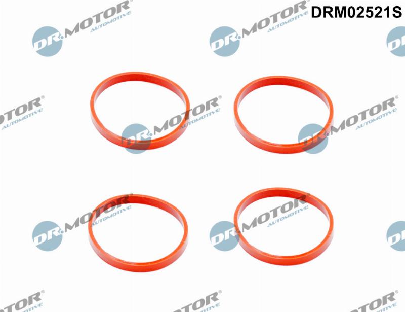 Dr.Motor Automotive DRM02521S - Set garnituri, galerie admisie aaoparts.ro